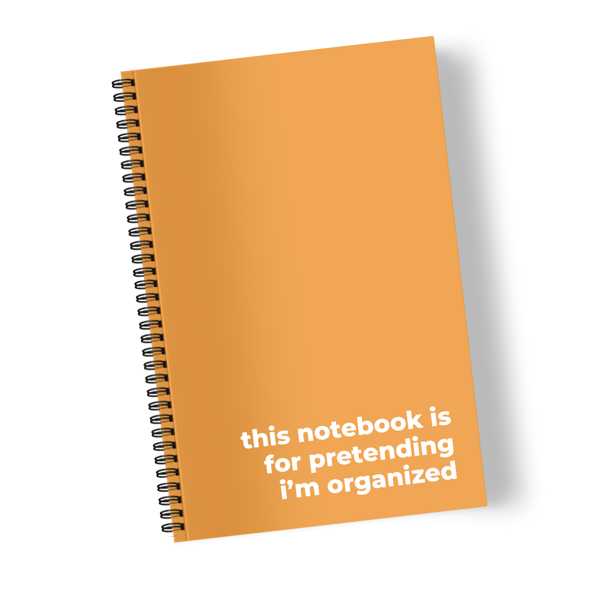 This Notebook is for Pretending I’m Organized