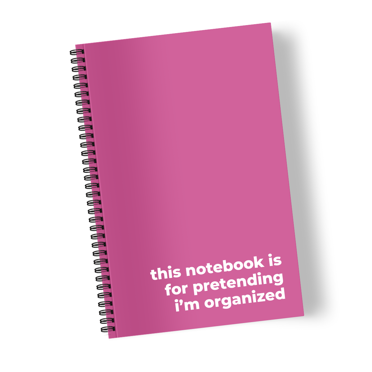 This Notebook is for Pretending I’m Organized
