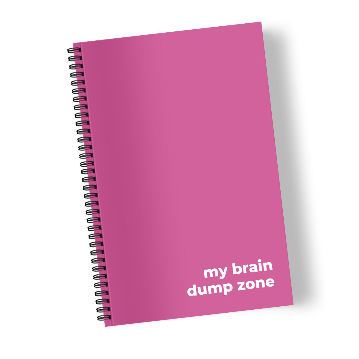 My Brain Dump Zone