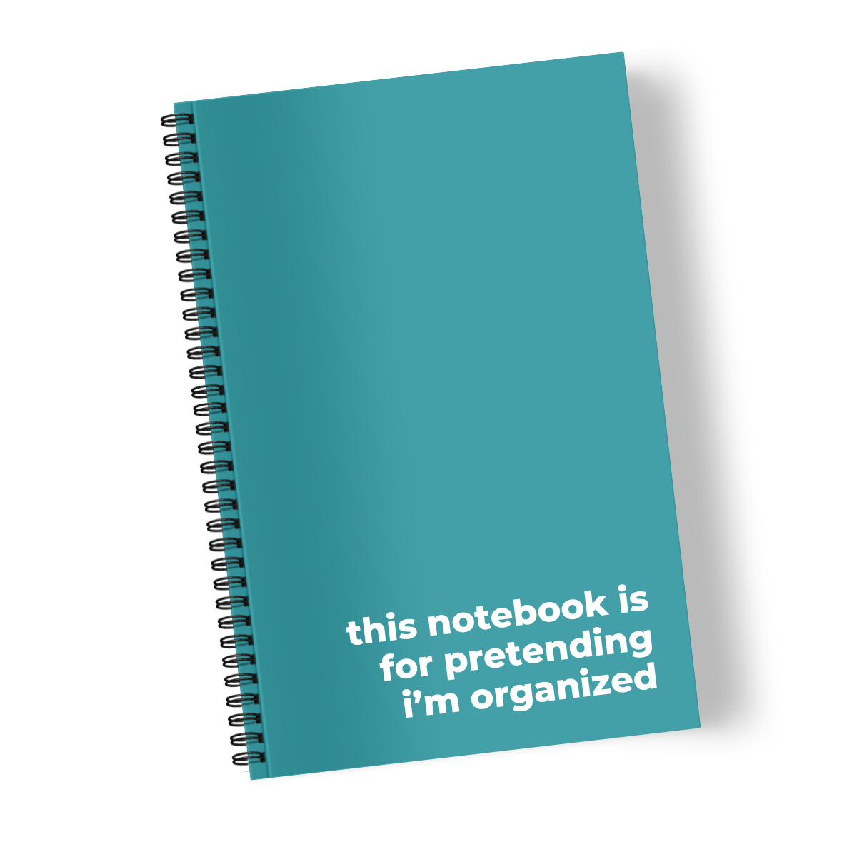 This Notebook is for Pretending I’m Organized