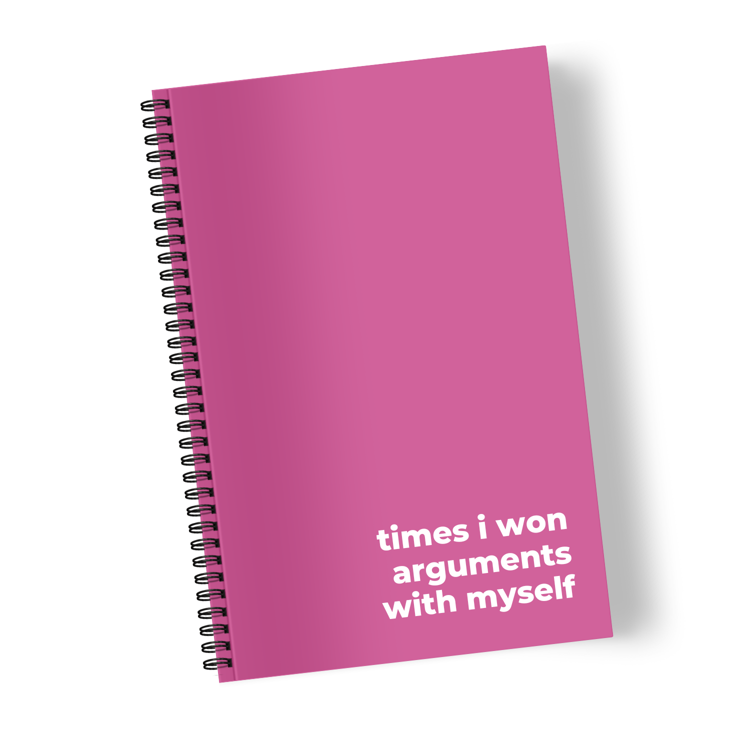Times I Won Arguments with Myself
