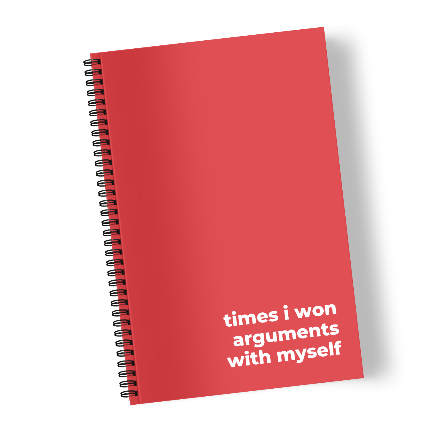 Times I Won Arguments with Myself