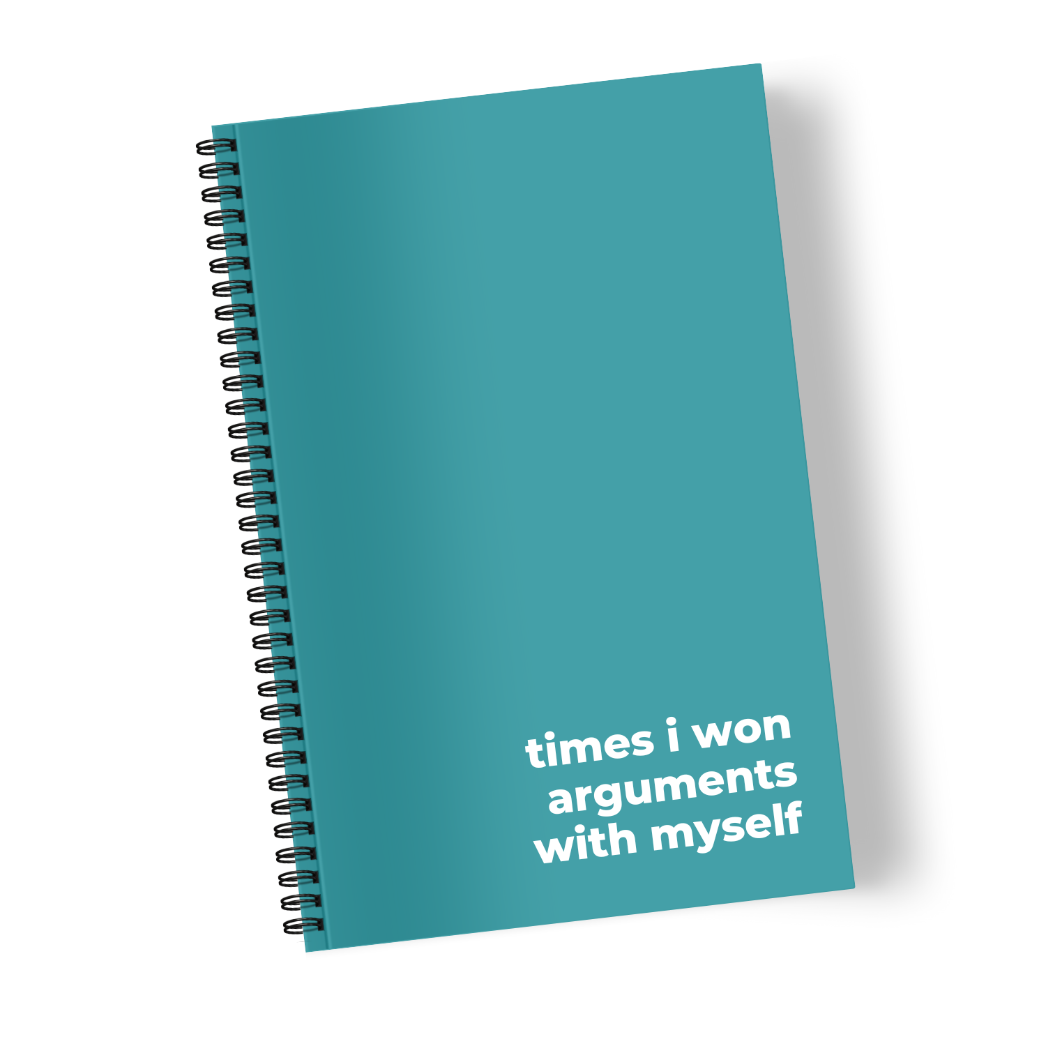 Times I Won Arguments with Myself