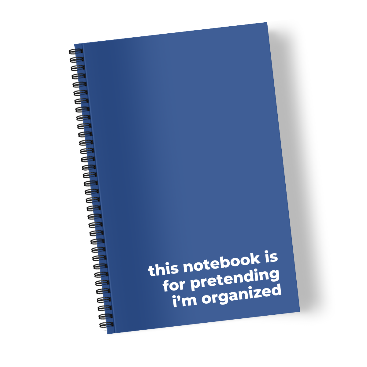 This Notebook is for Pretending I’m Organized